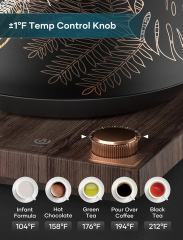 INTASTING hervidor electrico interior acero inoxidable para agua pura