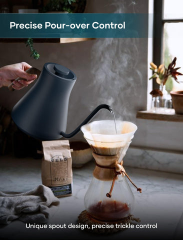 INTASTING hervidor eléctrico ideal para café y té, vertidos precisos