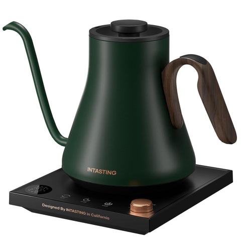 Intasting tetera eléctrica cuello de ganso verde bosque frontal: vertido preciso para café filtrado.