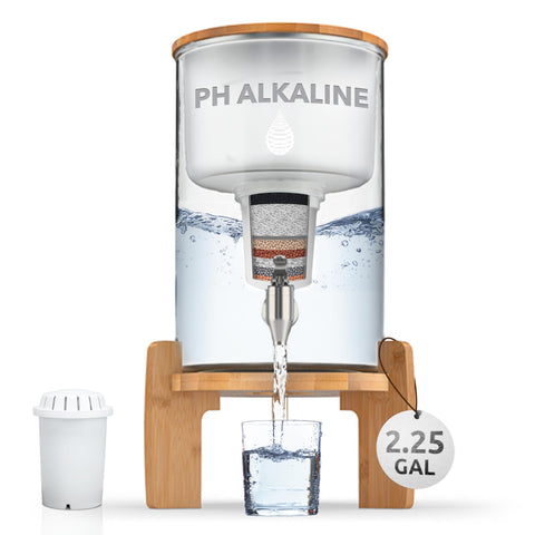 Invigorated Water pH Recharge dispensador-agua-8-5l: agua alcalina para consumo diario.