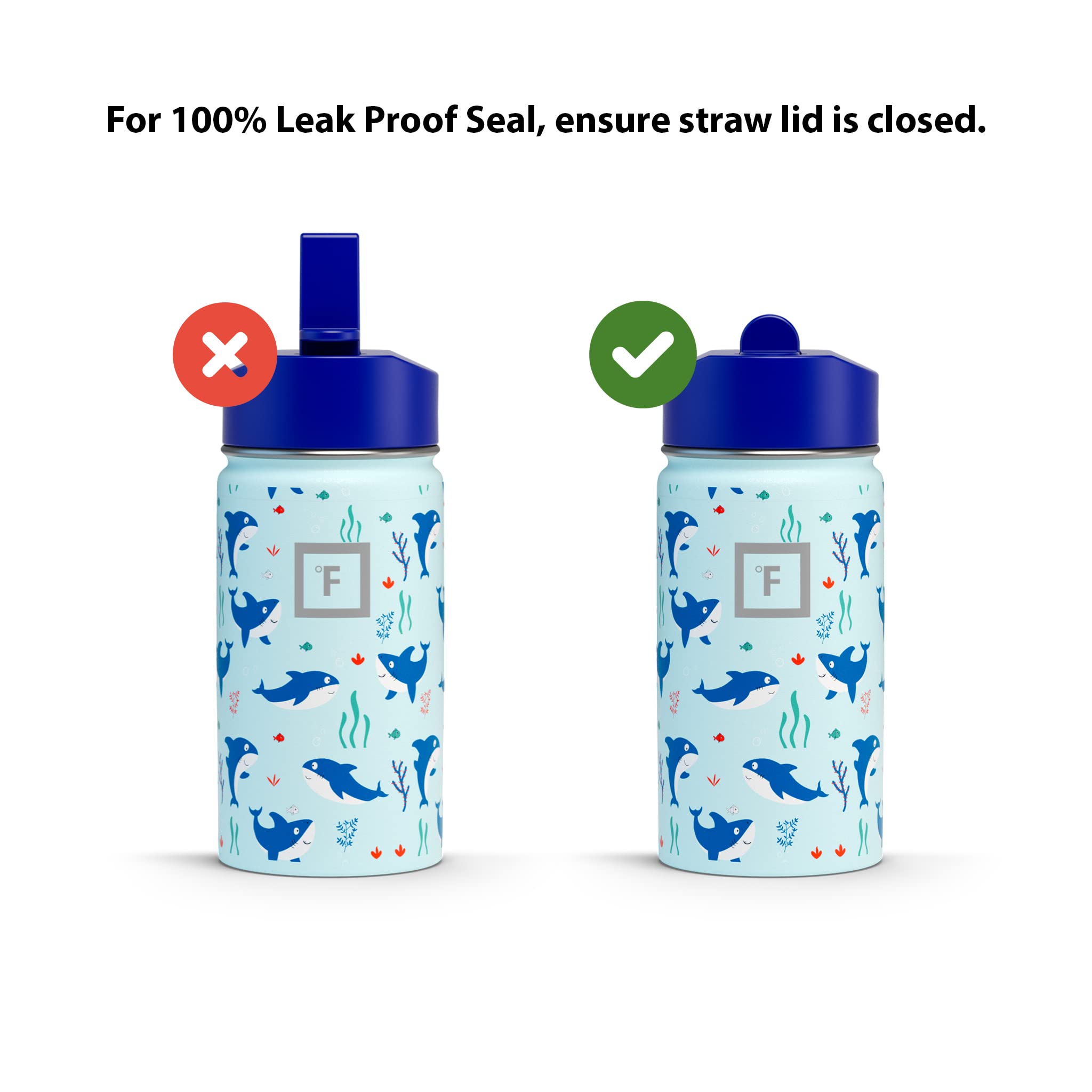 IRON °FLASK acero inoxidable 18/8, doble pared para bebidas frías sin sudor.
