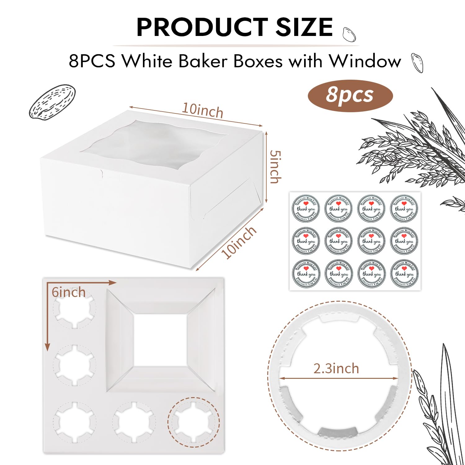 Caja JCD Bento para pasteles con insertos que mantienen todo en su sitio.