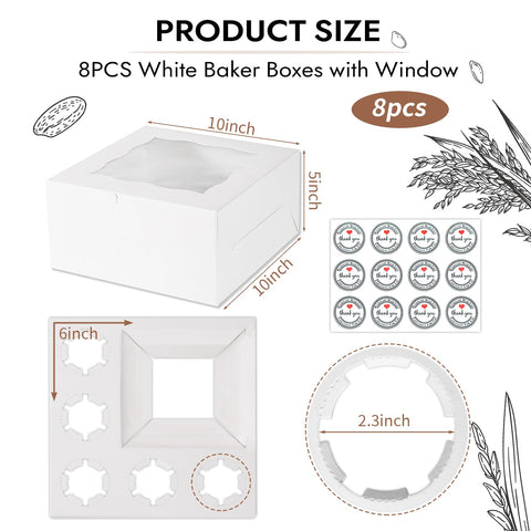 Caja JCD Bento para pasteles con insertos que mantienen todo en su sitio.