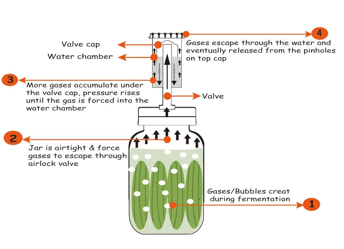 Válvula de aire libre de BPA Jillmo para fermentación.