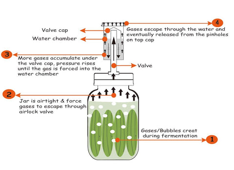 Válvula de aire libre de BPA Jillmo para fermentación.