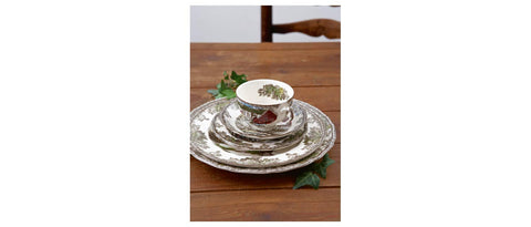 Johnson Brothers Villa Amigable: taza y plato para té diario