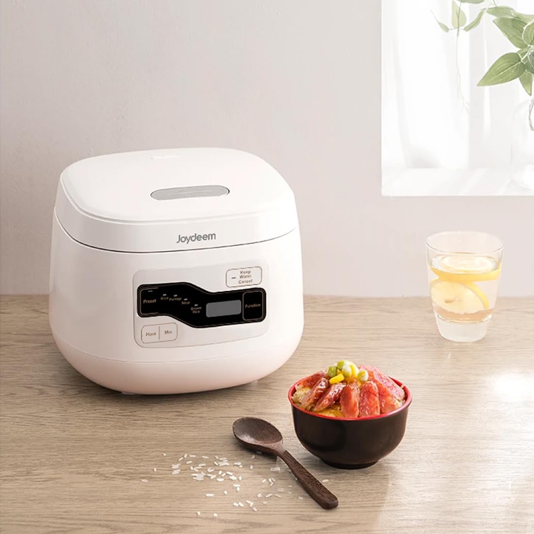 Joydeem Olla Arrocera Cerámica: capacidad 2 L para 4 tazas crudas