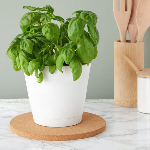 Juvale acabado elegante de corcho para cocina