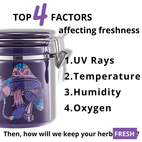 KARCOOL contenedor cerámico con protección UV para mantener hierbas frescas.