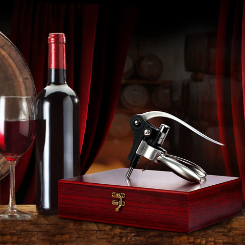 KENSOSO termometro para vino: controla la temperatura ideal de servicio