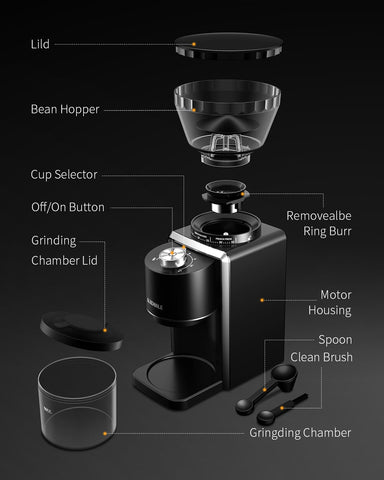 KIDISLE molinillo conico diseño compacto en la encimera, perfecto para cocinas pequeñas.