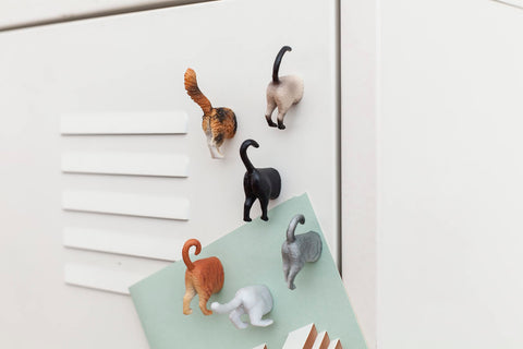 Imán de Kikkerland: cola de gato, decorativo y práctico para mensajes.