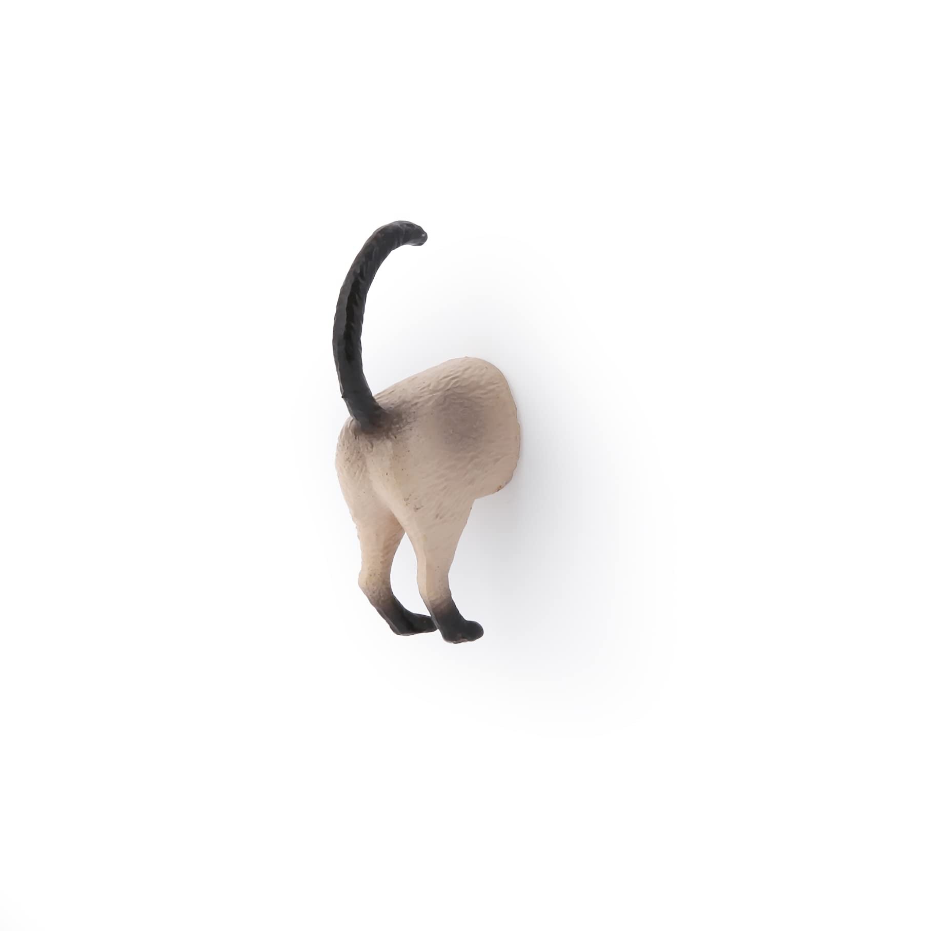 Imán de Kikkerland: cola de gato, regalo divertido para cualquier cocina.