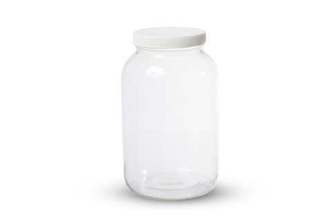 kitchentoolz uso para kombucha y cultivos iniciadores