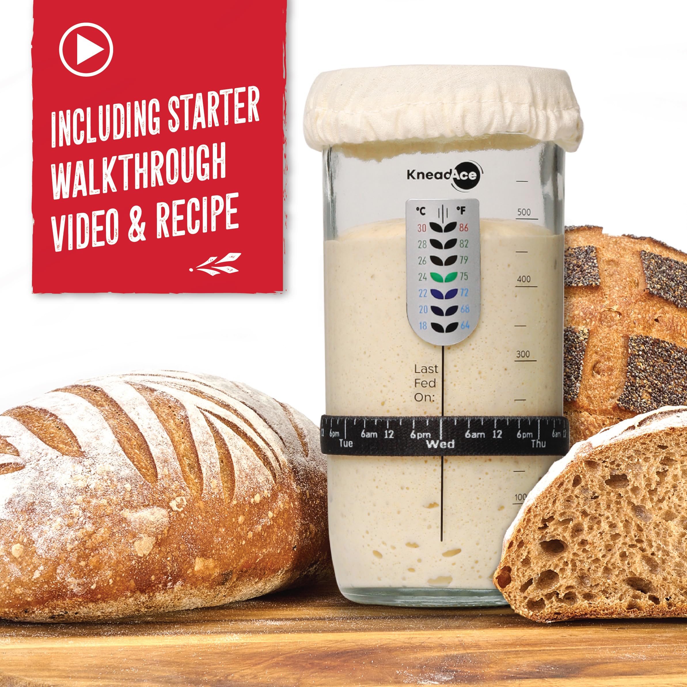 KNEADACE conjunto de masa madre con guía paso a paso para principiantes.