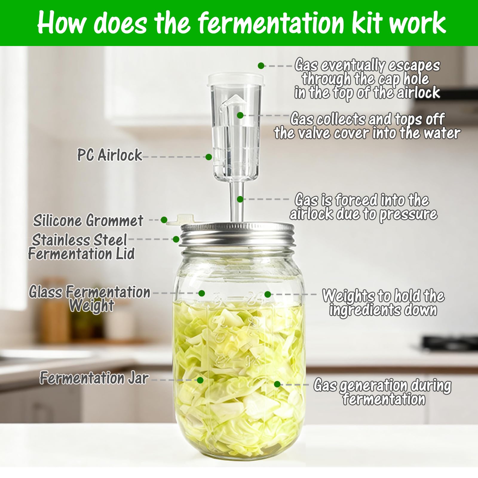 Lalvam almacenamiento seguro de alimentos fermentados manteniendo sabor y textura