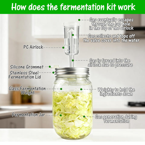 Lalvam almacenamiento seguro de alimentos fermentados manteniendo sabor y textura