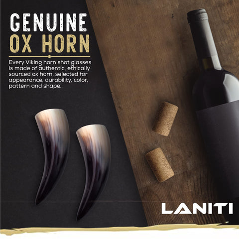 LANITI soporte integrado realza la pieza para exhibir.