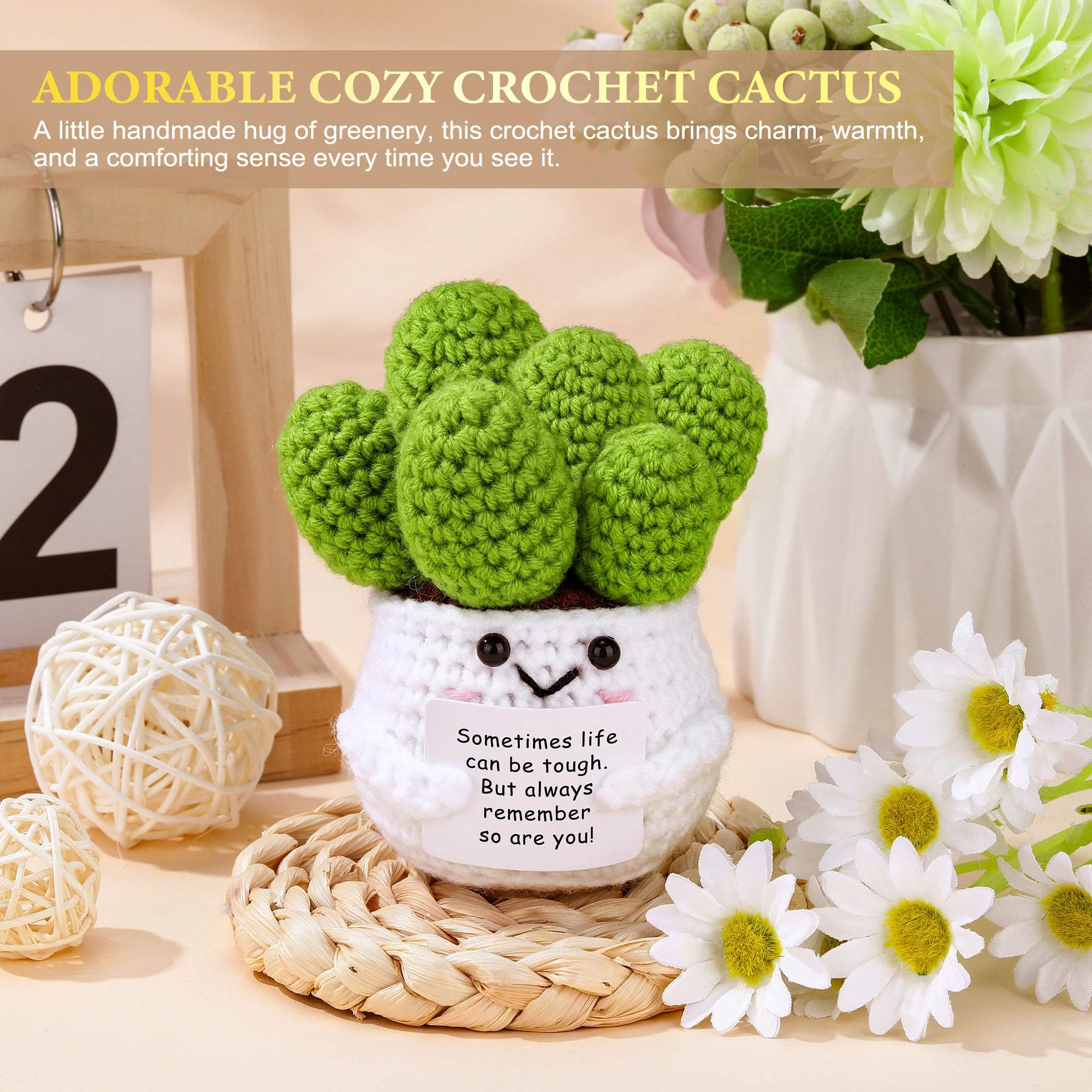 Launrada cactus tejido detalle reconfortante para levantar el ánimo