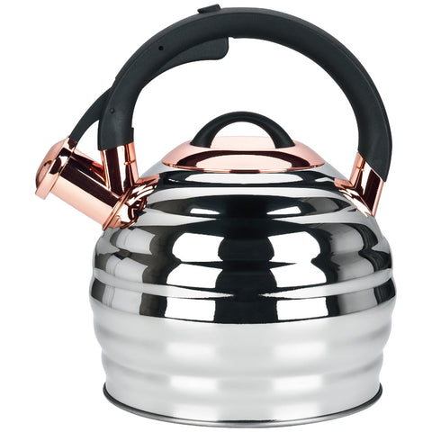 Lazneyru hervidor estufa acero inoxidable 32qt, calentamiento uniforme para infusiones