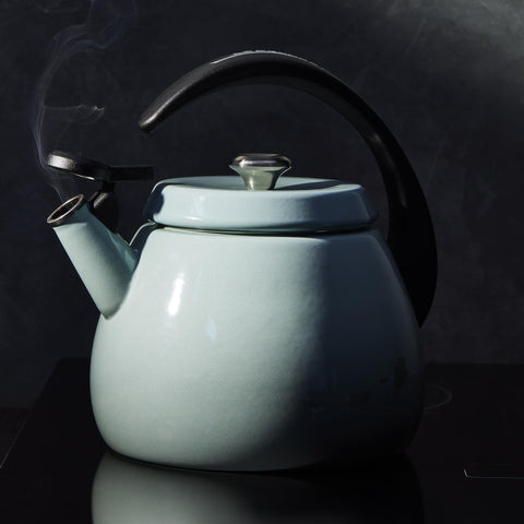 Compatibilidad con cocinas: Le Creuset Cloche funciona en todas las superficies