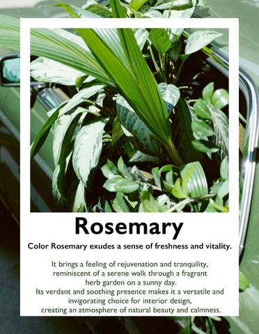 LeGourmet bandeja Rosemary, soporta hasta 260°C para horneados uniformes.