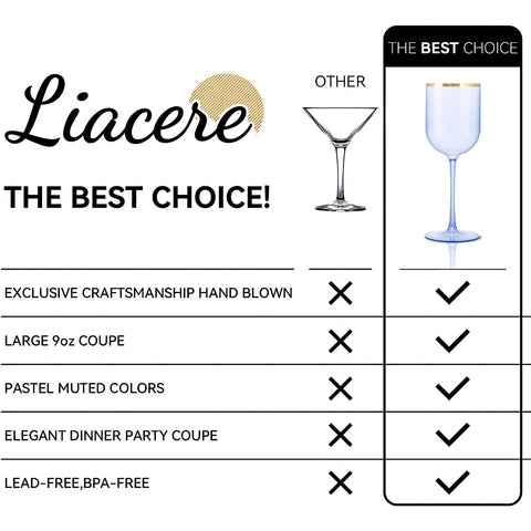 Copa de vino de plástico Liacere para celebraciones al aire libre.