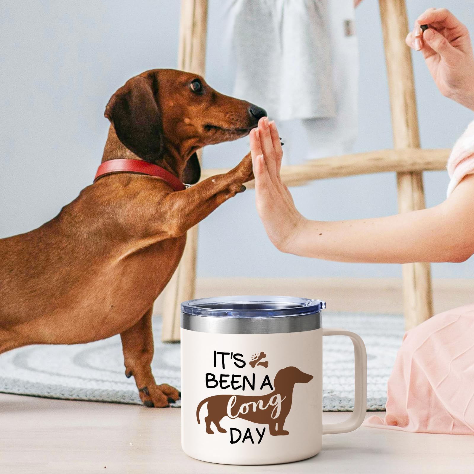 Lifecapido caja regalo dachshund lista para regalar