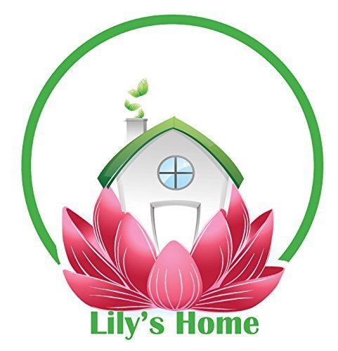 Lily's Home: regalo práctico para fiestas y reuniones en casa.