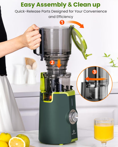 LINKChef prensas-frio motor-200w ofrece potencia eficiente para extraer jugos.