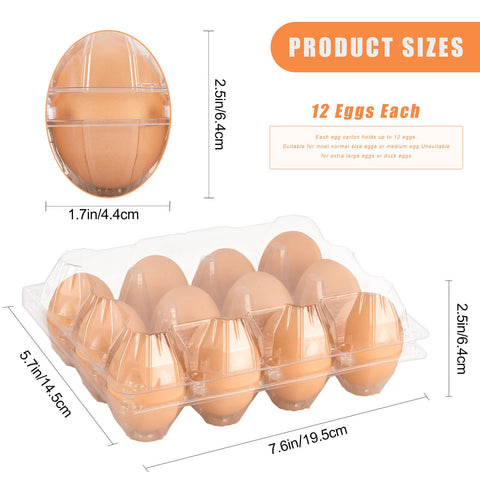 Cartones de huevos Lixavaer 3x4 con estructura estable para transporte seguro