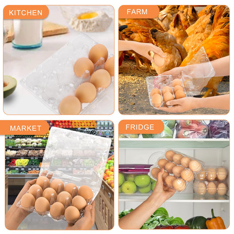 Cartones de huevos Lixavaer hechos en PET reciclable y fácil limpieza