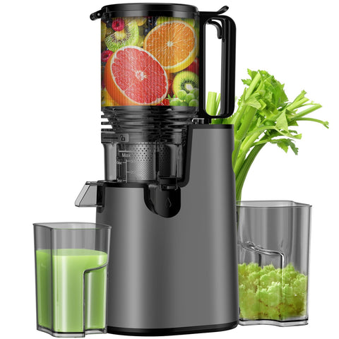 LQZ extractor prensado frío, boca amplia, para jugos rápidos de frutas y verduras.