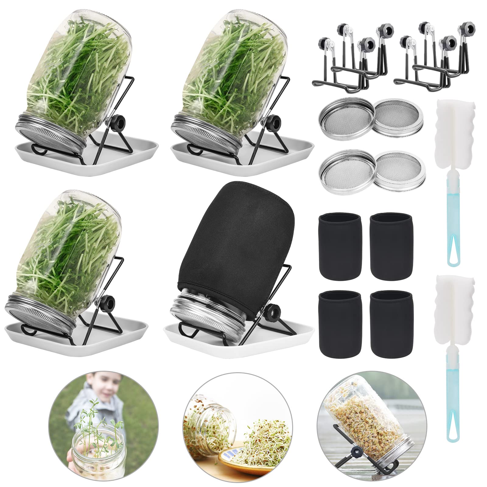 Lulonpon kit de germinación con frascos boca ancha para buena aireación.