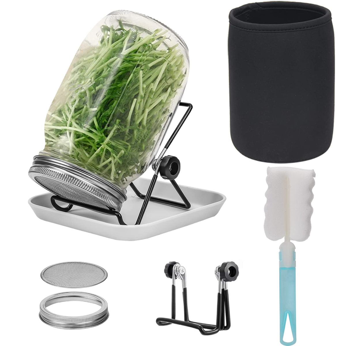 Lulonpon kit germinación: tarro vidrio 86mm para brotes fáciles de cultivar.
