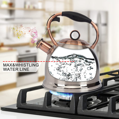 Hervidor LuxGrace con mango ergonómico para verter con una mano.