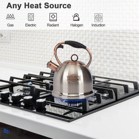 Hervidor LuxGrace con tapa ajustada para retener calor y hervir de forma eficiente.