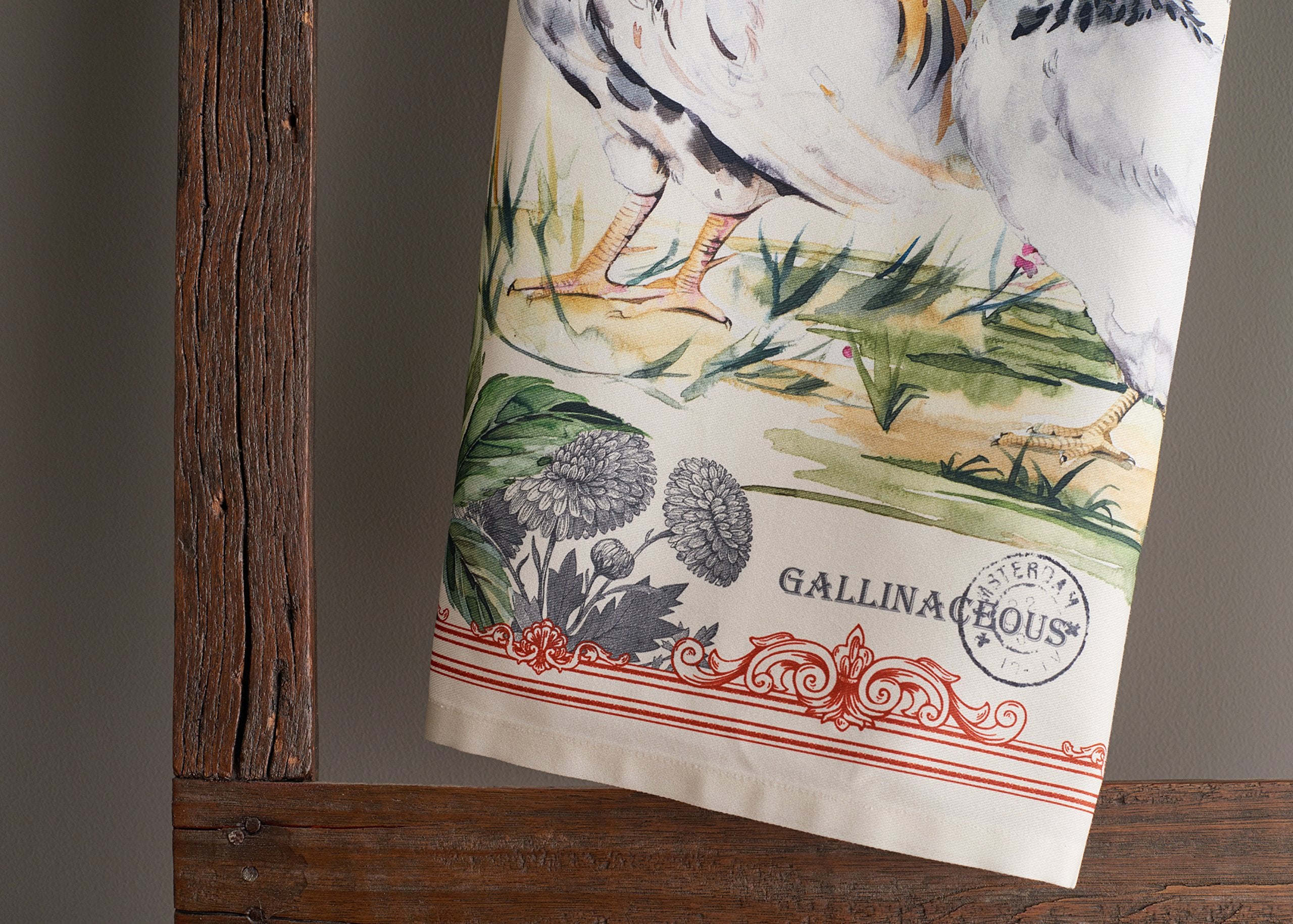 Maison d'Hermine, toallas de cocina 20x27 pulgadas, suaves y absorbentes