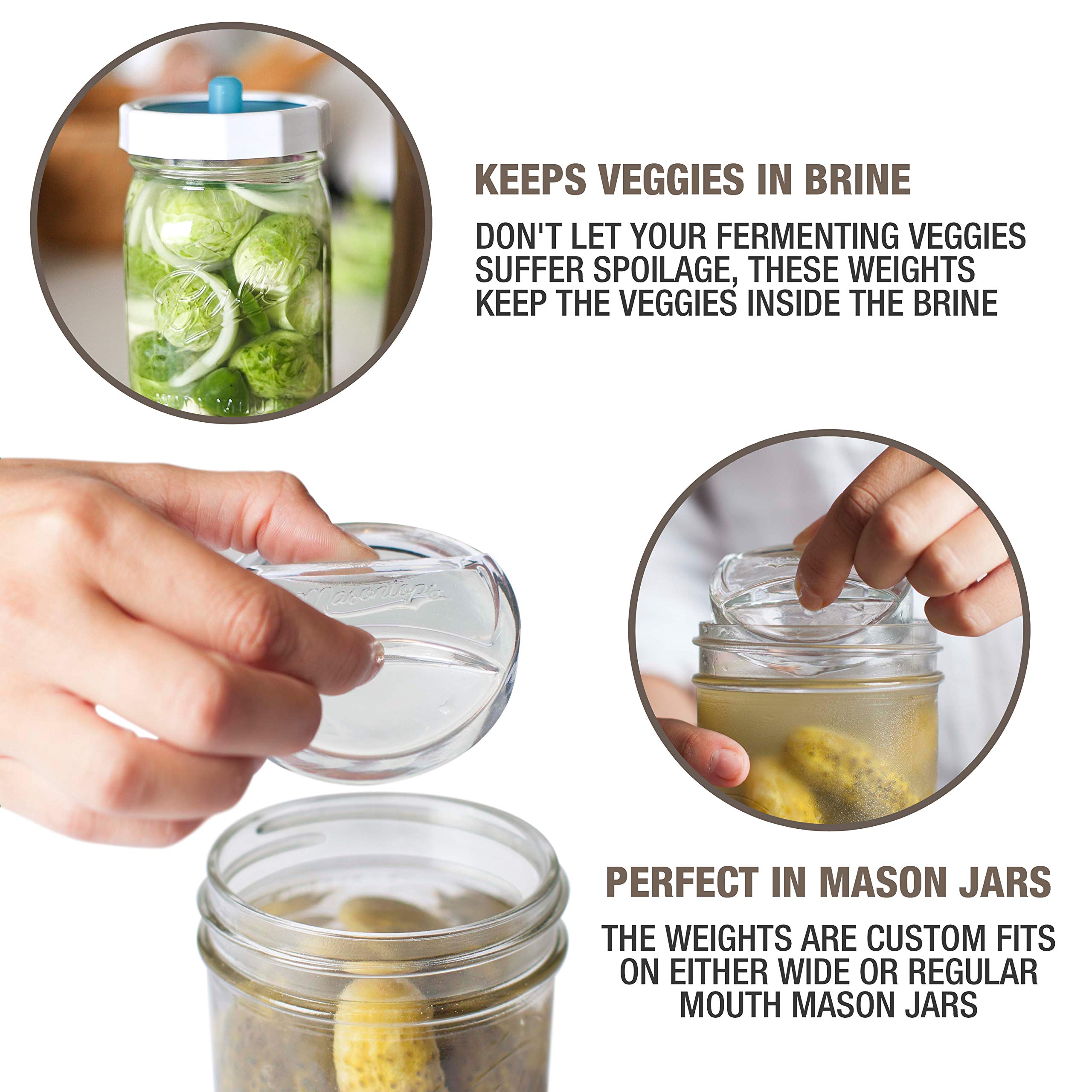 Masontops Pickle Infinity, cristal transparente para observar fermentos.