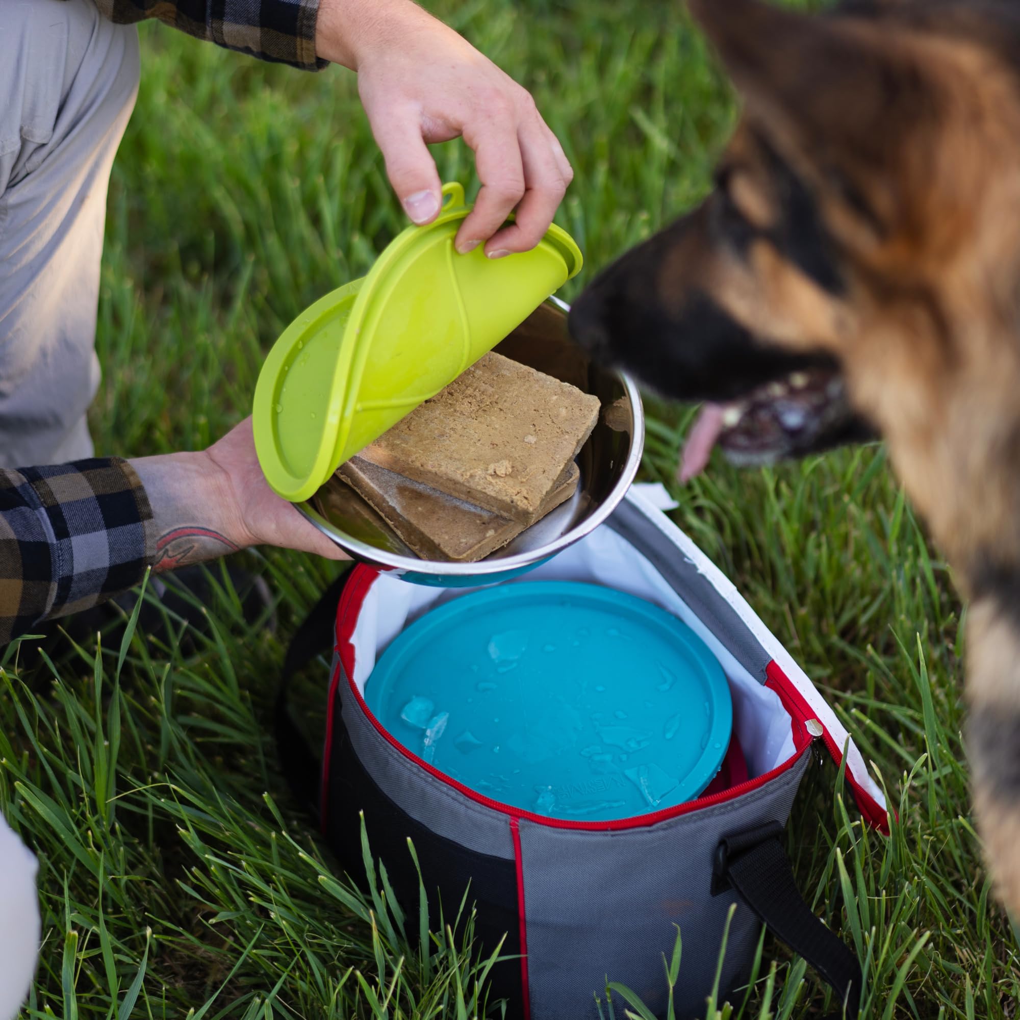Messy Mutts: diseño seguro de alimentos sin BPA
