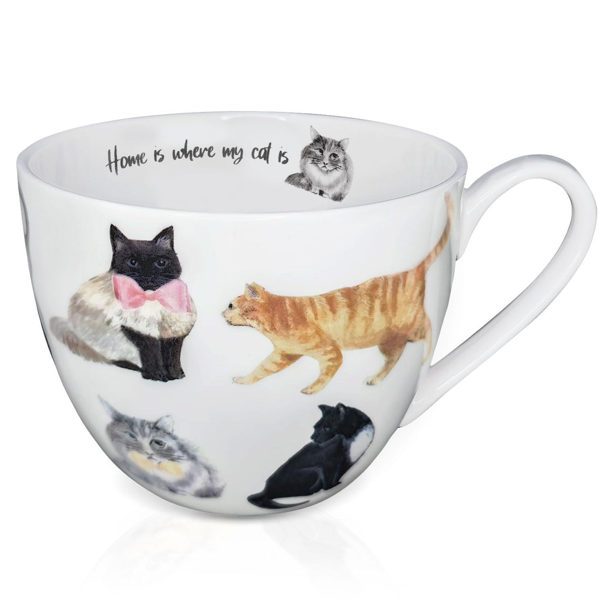 MFoffice taza gato acogedora, ideal para café diario.
