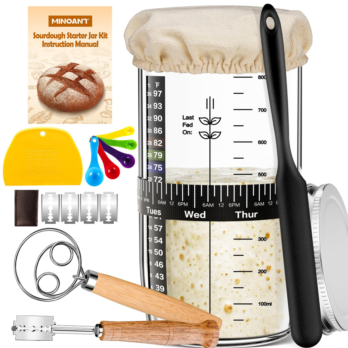 MINO ANT kit para masa madre con tarro de vidrio facilita la fermentación clara