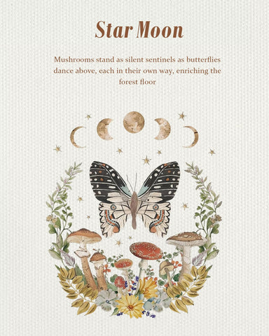 Miss Adola: bolso estetico, bolsillo interior con cremallera para organizacion