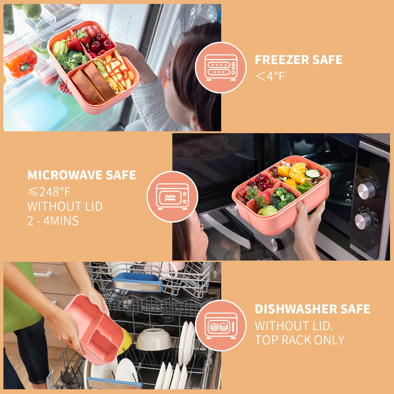 Miss Big Bento Box diseñado para niños y adultos con medidas adecuadas