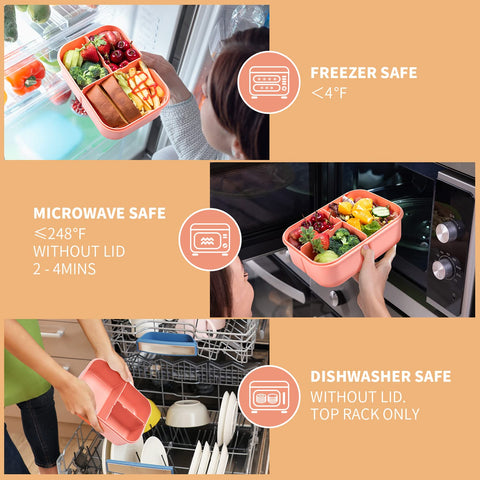 Miss Big Bento Box diseñado para niños y adultos con medidas adecuadas