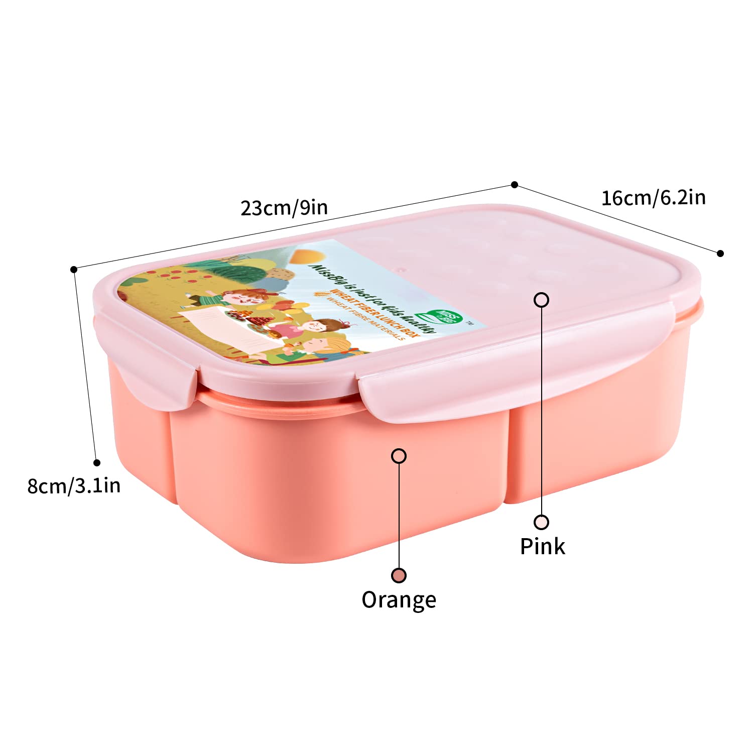 Miss Big Bento Box portátil para oficina, picnic o clase, ligero y práctico