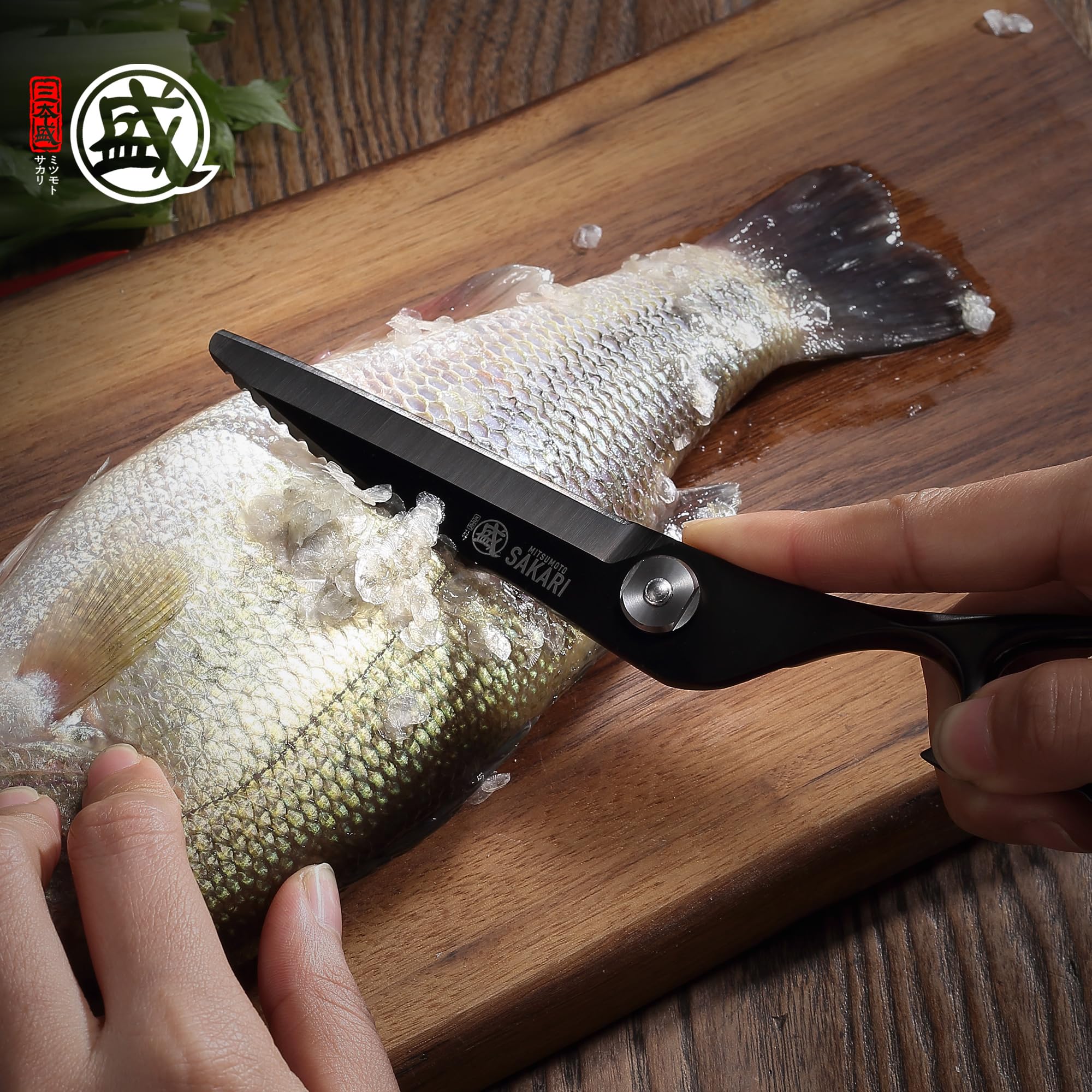 Diseño desmontable MITSUMOTO SAKARI, limpieza fácil.