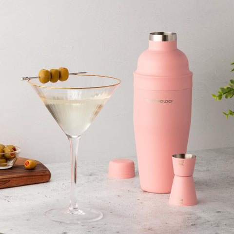 Modern Mixology regalo ideal para amantes de cócteles y fiestas