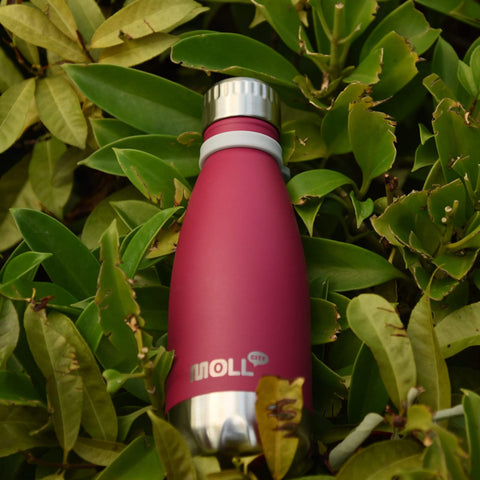 Mollcity botella de nueve onzas, tamaño compacto para niños curiosos.