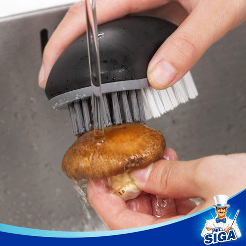 MR.SIGA, dientes blancos rígidos para patatas y pepinos, limpieza eficaz